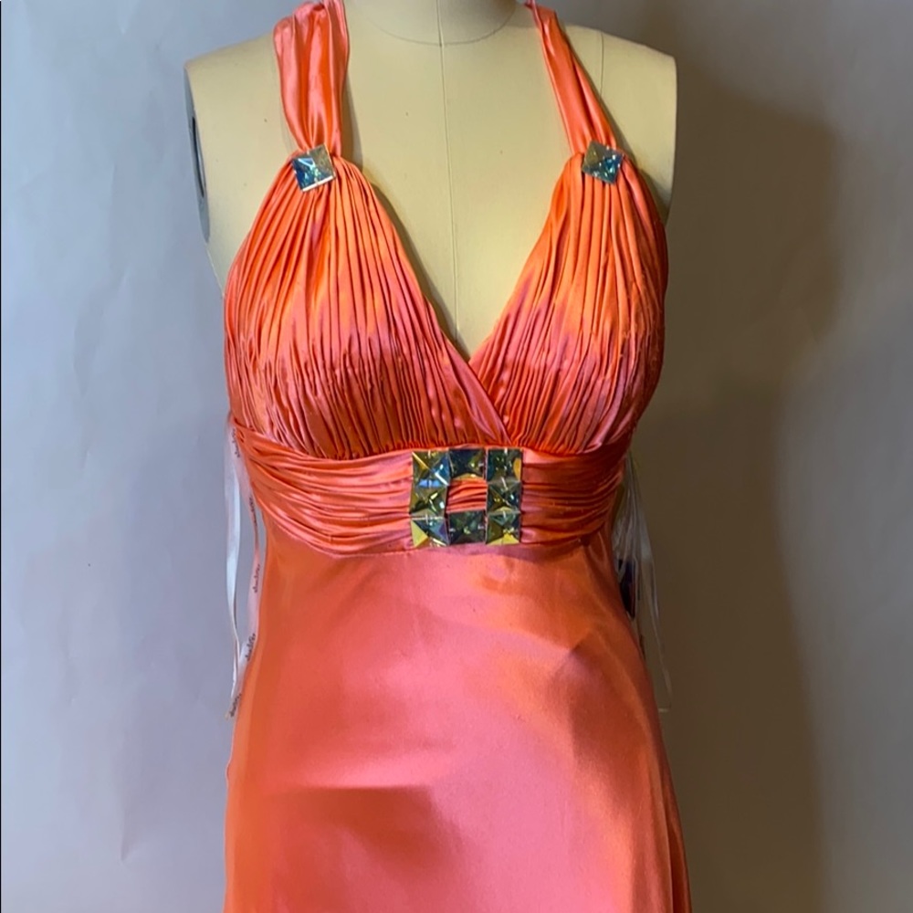 Coral Gown